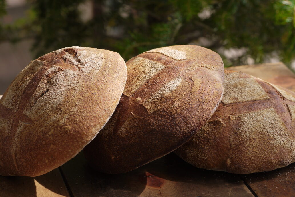 ファーマー（丸） GREEN SUNLIGHT BAKERY